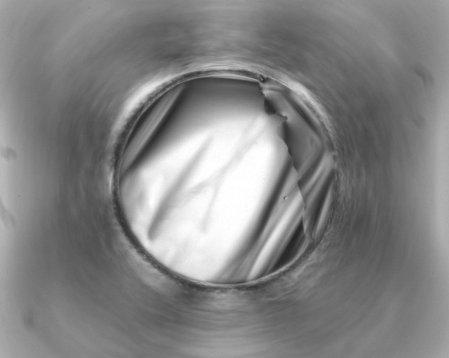 X0000090881416200708101336