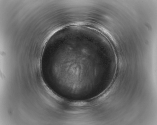 X0000090881417200708101336