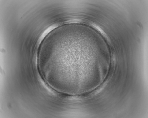 X0000090881418200708101336