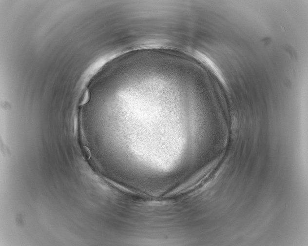 X0000090881419200708101336