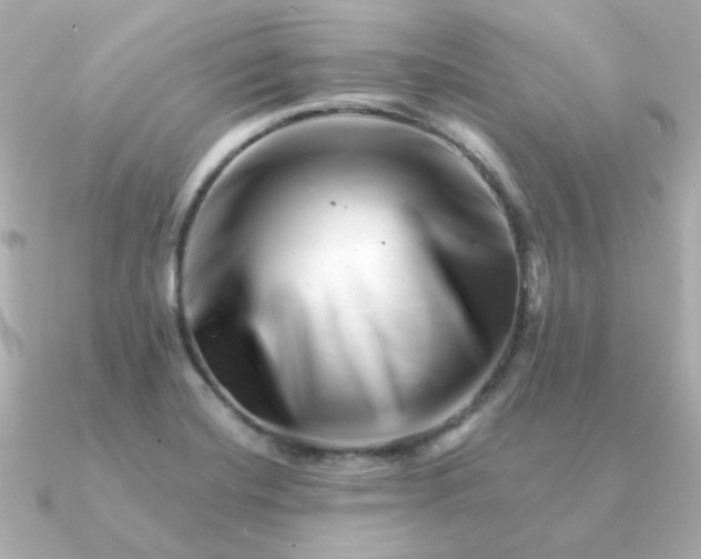 X0000090881420200708101336