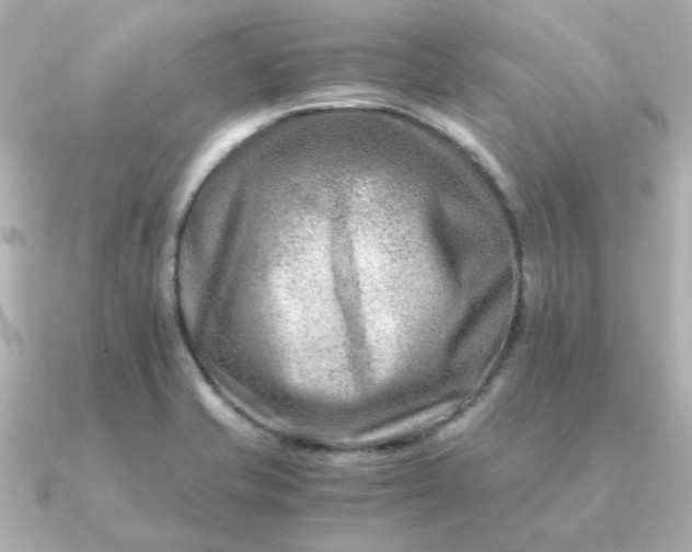 X0000090881421200708101336