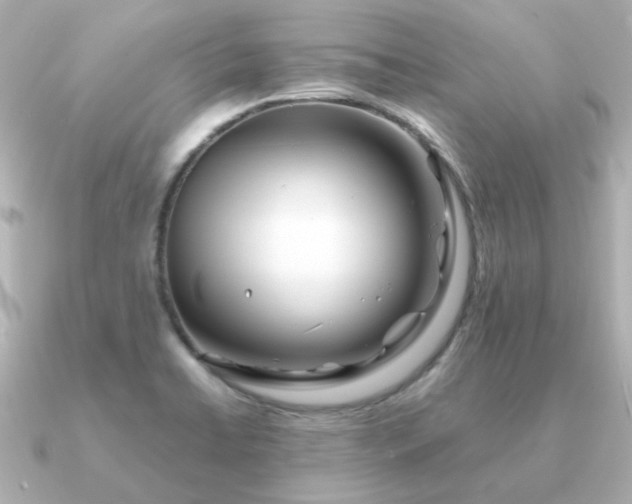 X0000090881422200708101336