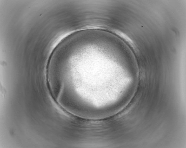 X0000090881423200708101336