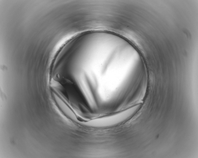 X0000090881424200708101336