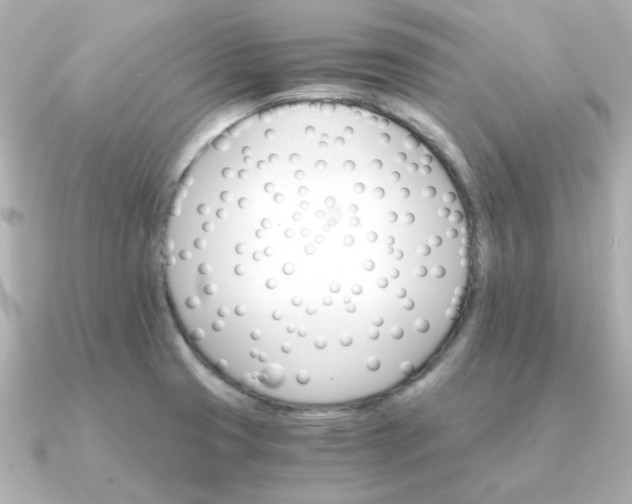 X0000090881425200708101336