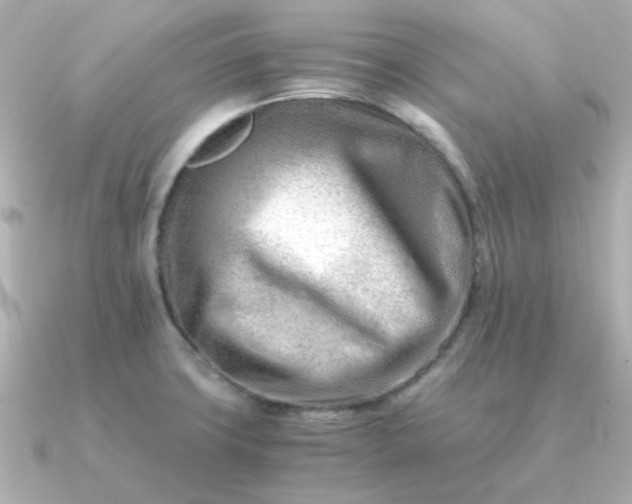 X0000090881427200708101336