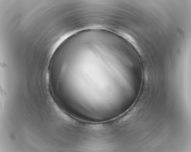 X0000090881428200708101336