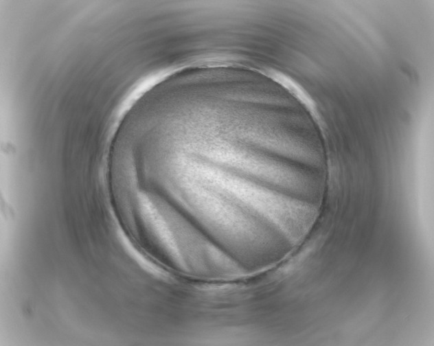 X0000090881429200708101337