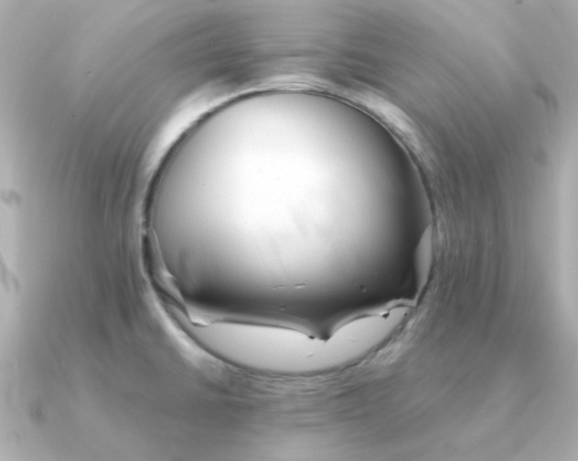 X0000090881430200708101337