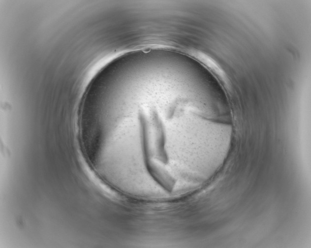 X0000090881431200708101337