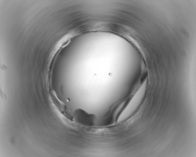 X0000090881434200708101337