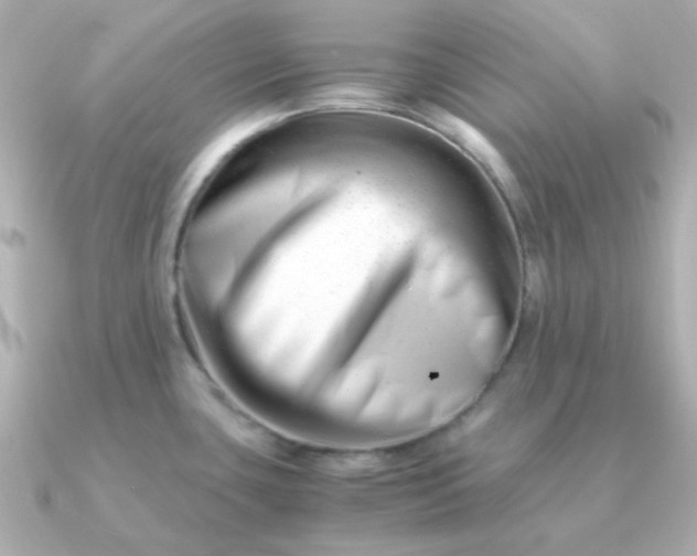 X0000090881435200708101337