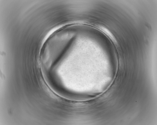 X0000090881436200708101337