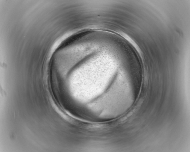 X0000090881437200708101337