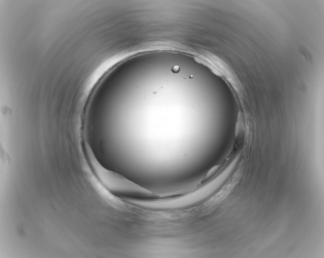 X0000090881438200708101337