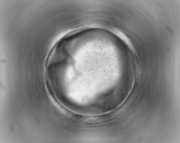 X0000090881439200708101337