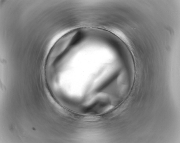 X0000090881440200708101337