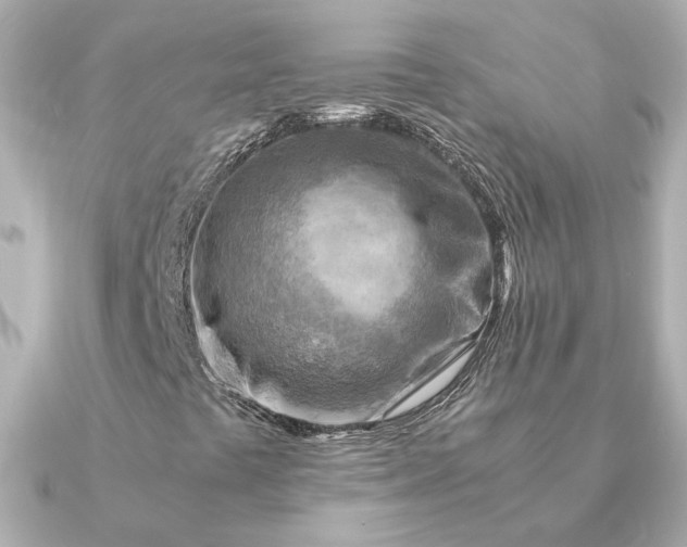 X0000090881441200708101336