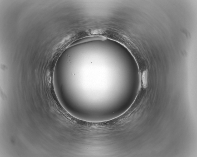 X0000090881443200708101336