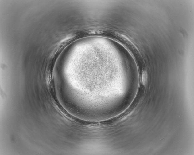 X0000090881444200708101336