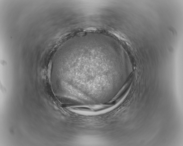 X0000090881445200708101336