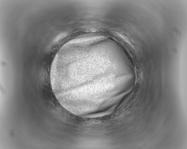 X0000090881446200708101336