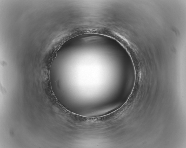 X0000090881447200708101336