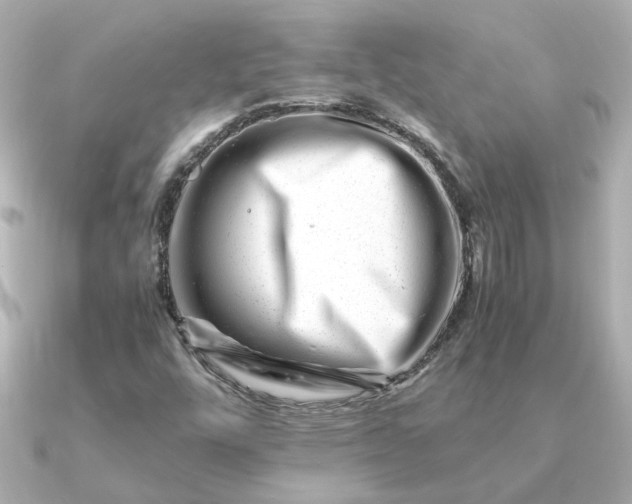 X0000090881448200708101336