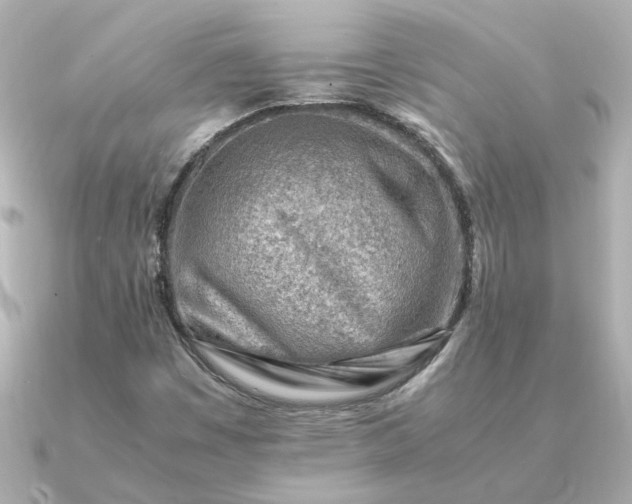 X0000090881449200708101336