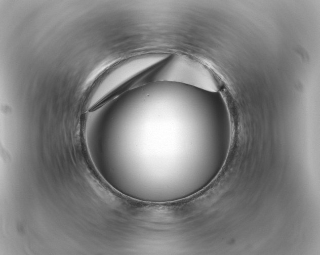 X0000090881450200708101336