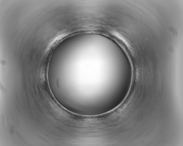 X0000090881451200708101336