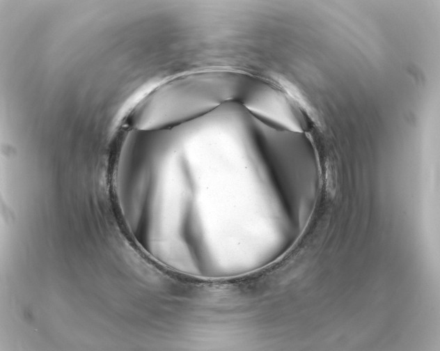 X0000090881452200708101336