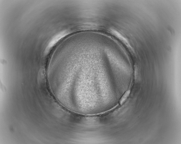 X0000090881453200708101336