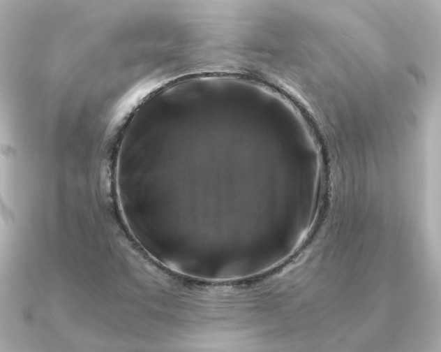 X0000090881455200708101336