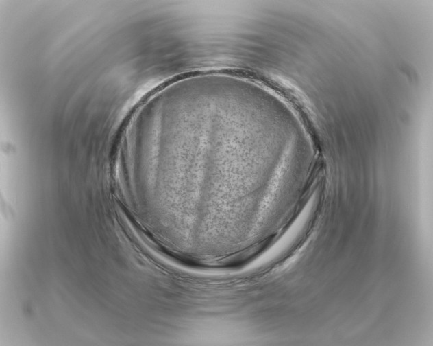 X0000090881457200708101336