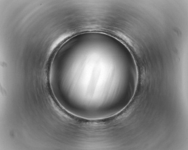 X0000090881458200708101336