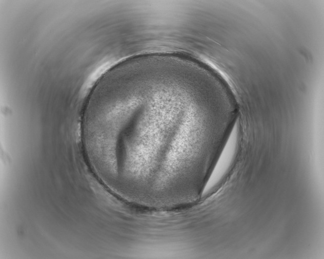 X0000090881459200708101336