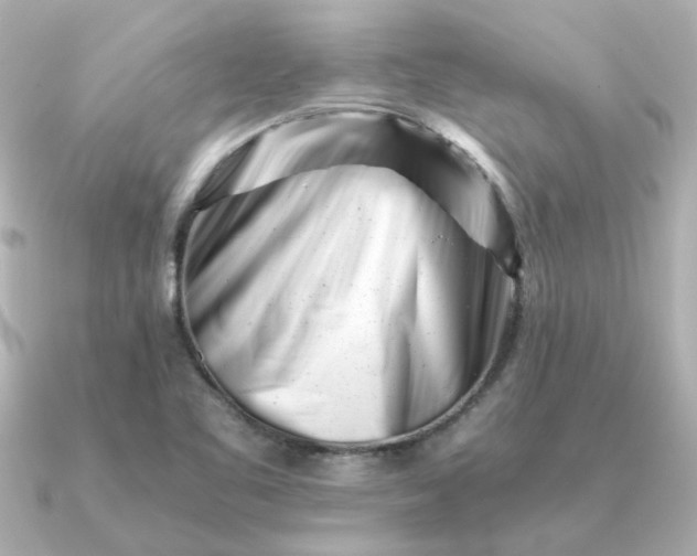 X0000090881461200708101336