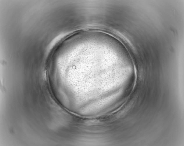 X0000090881462200708101336