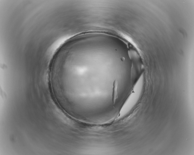 X0000090881463200708101336