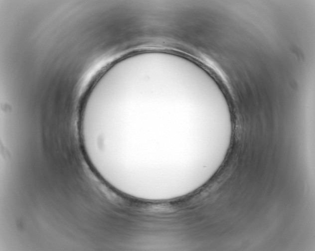 X0000090881464200708101336