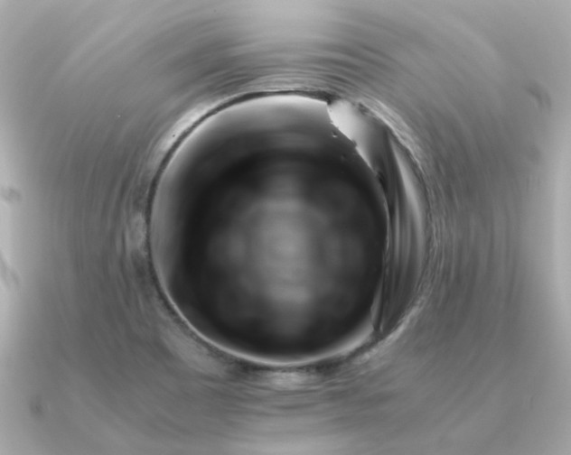 X0000090881465200708101336