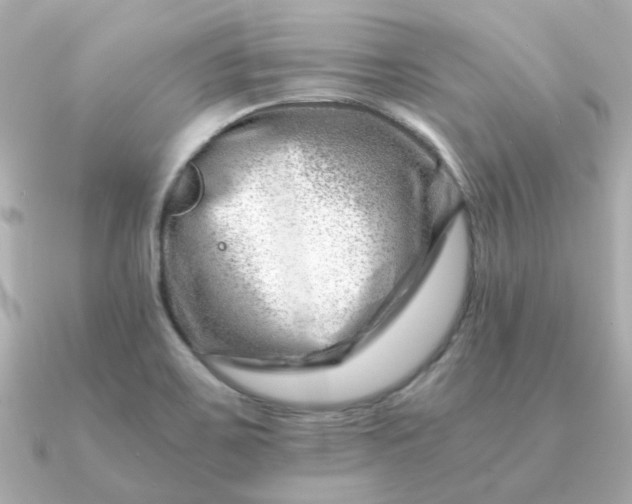 X0000090881467200708101336