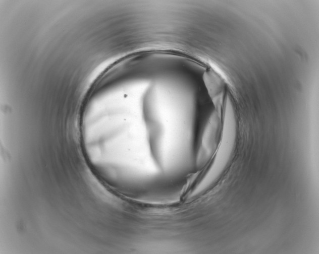 X0000090881468200708101336