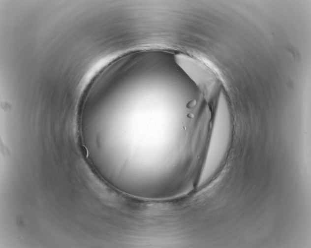 X0000090881469200708101336