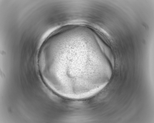 X0000090881470200708101336