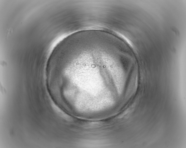 X0000090881471200708101336