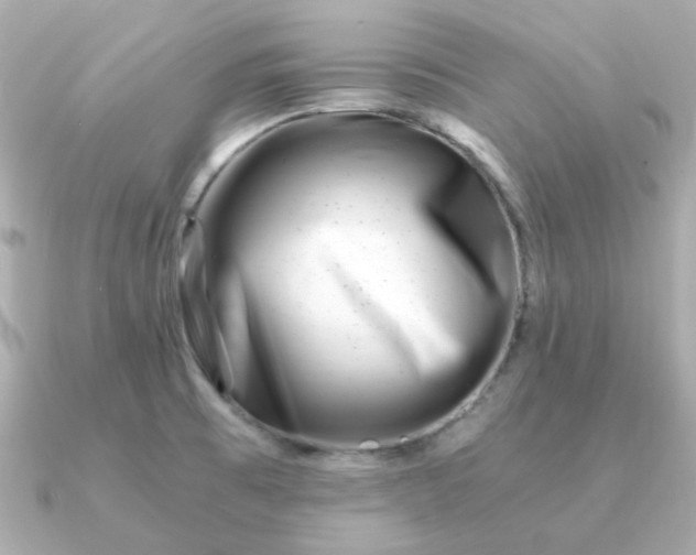 X0000090881473200708101336