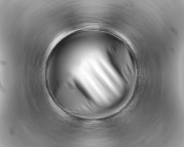 X0000090881475200708101336